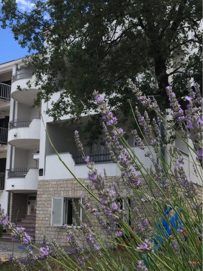 Apartmani Ana マリンスカ エクステリア 写真